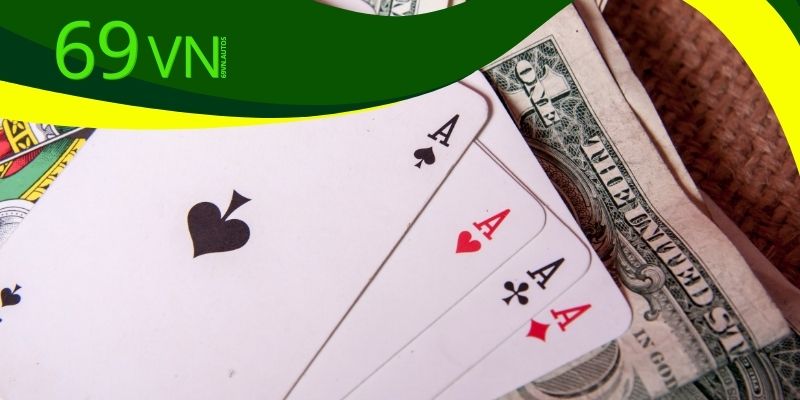 Liệu Tứ Quý để cuối có thối không? Khám phá ngay bí quyết