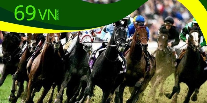 Kèo cược đua ngựa 69VN với tỷ lệ cược cực tốt