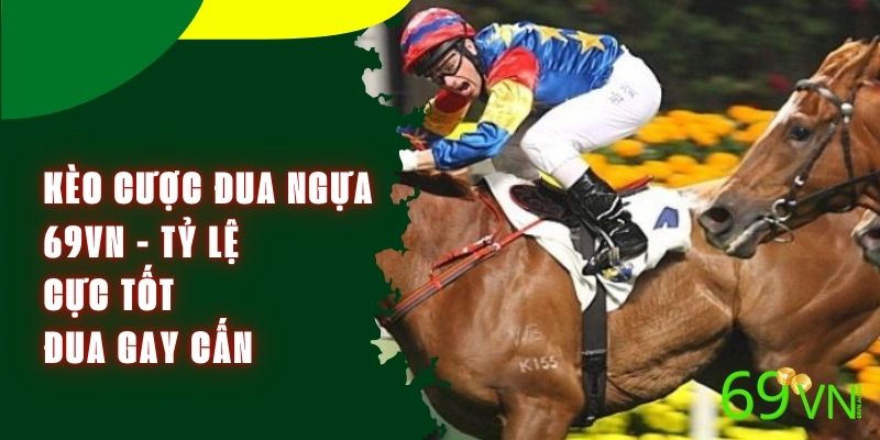 Kèo Cược Đua Ngựa 69VN - Tỷ Lệ Cực Tốt, Đua Gay Cấn